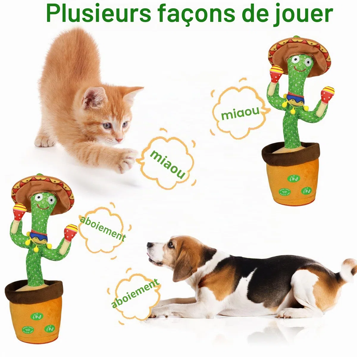 Cactus Qui Danse et Répète,Éclairage,Répète ce Que Tu Dis,Jouet Cactus Éducatif Interactif,120 Chansons, Contrôle du Volume, Cadeaux Amusants pour Les Enfants et Décoration